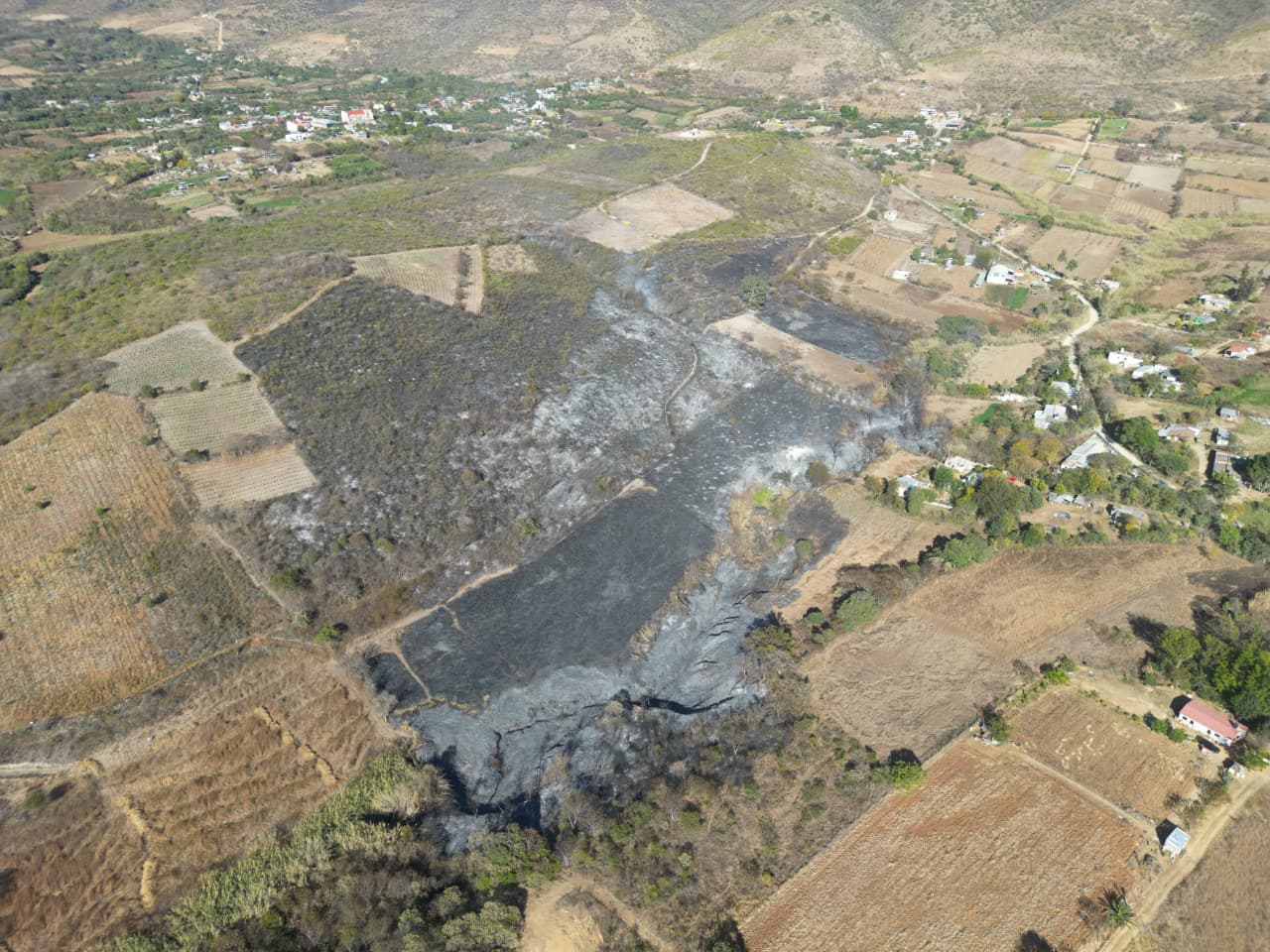 Apoya Coesfo en la contención del incendio forestal en San Juan ...